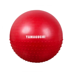 Мяч для фитнеса Yamaguchi Fit ball